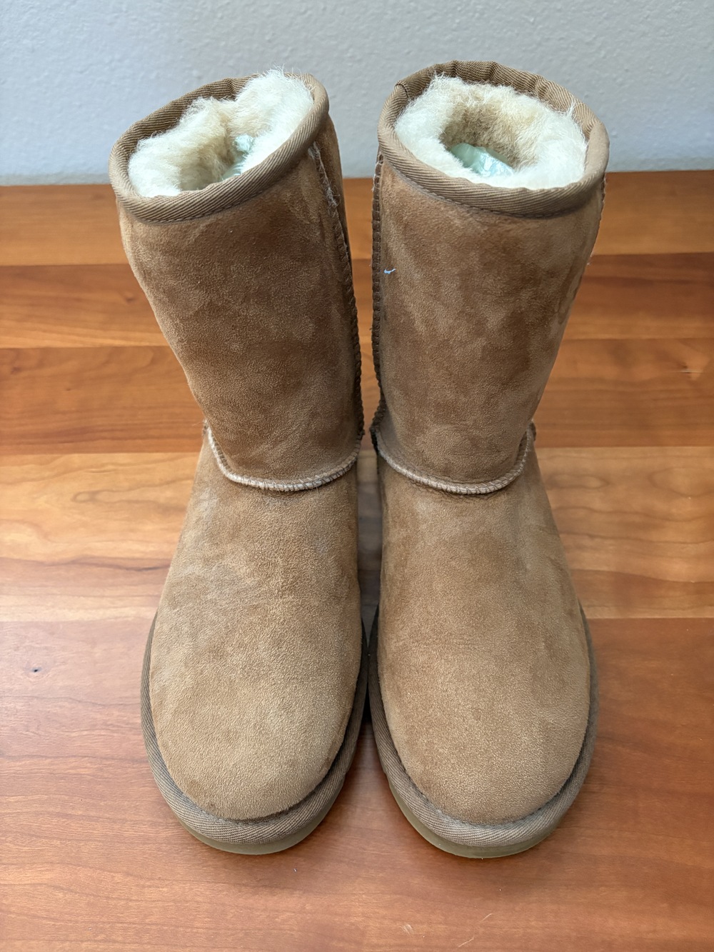 UGG Sheepskin Boots